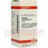 PALLADIUM METALLICUM D 12 Tabletten 80 St | ПАЛЛАДИУМ МЕТАЛЛИКУМ таблетки 80 шт | DHU