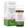 PFLÜGERPLEX Collinsonia 310 H Tabletten 100 St | ФЛЮГЕРПЛЕКС таблетки 100 шт | HOMÖOPATHISCHES LABORATORIUM ALEXANDER PFLÜGER