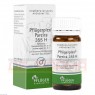 PFLÜGERPLEX Pareira 355 H Tabletten 100 St | ФЛЮГЕРПЛЕКС таблетки 100 шт | HOMÖOPATHISCHES LABORATORIUM ALEXANDER PFLÜGER