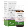 PFLÜGERPLEX Rhododendron 307 H Tabletten 100 St | ФЛЮГЕРПЛЕКС таблетки 100 шт | HOMÖOPATHISCHES LABORATORIUM ALEXANDER PFLÜGER