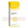 PHASEOLUS SIMILIAPLEX Tropfen 50 ml | ФАЗЕОЛУС СІМІЛІАПЛЕКС краплі 50 мл | PASCOE PHARMAZEUTISCHE PRÄPARATE