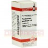 PHELLANDRIUM AQUATICUM D 6 Globuli 10 g | ФЕЛЛАНДРІУМ АКВАТИКУМ глобули 10 г | DHU