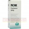 PHÖNIX CYCLAMEN spag.Mischung 100 ml | ФЕНИКС ЦИКЛАМЕН смесь 100 мл | PHÖNIX LABORATORIUM