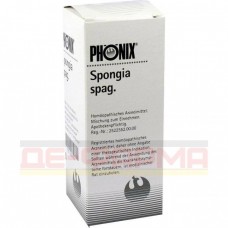 ФЕНИКС СПОНГИЯ | PHÖNIX SPONGIA