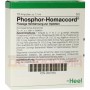 Фосфор Хомаккорд | Phosphor Homaccord