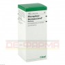 PHOSPHOR HOMACCORD Tropfen 100 ml | ФОСФОР ХОМАККОРД краплі 100 мл | BIOLOGISCHE HEILMITTEL HEEL