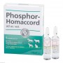 Фосфор Хомаккорд | Phosphor Homaccord