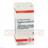 PHOSPHORUS AMORPHUS D 8 Tabletten 80 St | ФОСФОРУС АМОРФУС таблетки 80 шт | DHU