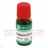 PHOSPHORUS LM 24 Dilution 10 ml | ФОСФОРУС раствор 10 мл | ARCANA DR. SEWERIN