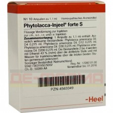 Фитолакка Иньель | Phytolacca Injeel