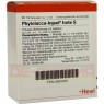 PHYTOLACCA INJEEL forte S Ampullen 10 St | ФІТОЛАККА ІНЬЄЛЬ ампули 10 шт | BIOLOGISCHE HEILMITTEL HEEL