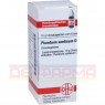 PLUMBUM ACETICUM D 6 Globuli 10 g | ПЛЮМБУМ АЦЕТИКУМ глобули 10 г | DHU