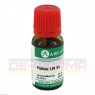 POLLEN LM 6 Dilution 10 ml | ПОЛЛЕН раствор 10 мл | ARCANA DR. SEWERIN