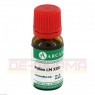 POLLEN LM 30 Dilution 10 ml | ПОЛЛЕН раствор 10 мл | ARCANA DR. SEWERIN