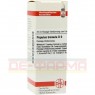 POPULUS TREMULA D 6 Dilution 20 ml | ПОПУЛЮС ТРЕМУЛА розчин 20 мл | DHU