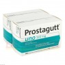 PROSTAGUTT uno Kapseln 2x100 St | ПРОСТАГУТТ капсули 2x100 шт | DR.WILLMAR SCHWABE | Плоди сереної повзучої