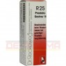 PROSTATA-GASTREU N R25 Mischung 22 ml | ПРОСТАТА ГАСТРЕУ смесь 22 мл | DR.RECKEWEG