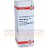 PRUNUS SPINOSA D 6 Dilution 20 ml | ПРУНУС СПИНОЗА раствор 20 мл | DHU