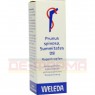 PRUNUS SPINOSA SUMMITATES D 8 Augentropfen 10 ml | ПРУНУС СПИНОЗА глазные капли 10 мл | WELEDA