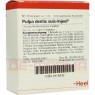 PULPA DENTIS SUIS Injeel Ampullen 10 St | ПУЛЬПА ДЕНТИС ампулы 10 шт | BIOLOGISCHE HEILMITTEL HEEL