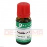 PULSATILLA LM 6 Dilution 10 ml | ПУЛЬСАТИЛЛА розчин 10 мл | ARCANA DR. SEWERIN