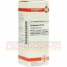 PYROGENIUM D 15 Dilution 20 ml | ПИРОГЕНИУМ раствор 20 мл | DHU