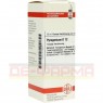 PYROGENIUM D 12 Dilution 20 ml | ПИРОГЕНИУМ раствор 20 мл | DHU