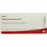 RETINA ET Chorioidea GL D 15 Ampullen 10x1 ml | РЕТИНА ампулы 10x1 мл | WALA HEILMITTEL