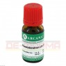 RHODODENDRON LM 18 Dilution 10 ml | РОДОДЕНДРОН розчин 10 мл | ARCANA DR. SEWERIN