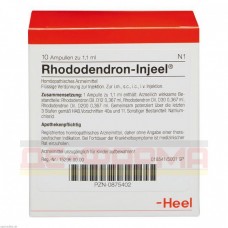 РОДОДЕНДРОН ИНЬЕЛЬ | RHODODENDRON INJEEL