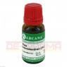 RHUS TOXICODENDRON LM 1 Dilution 10 ml | РУС ТОКСИКОДЕНДРОН раствор 10 мл | ARCANA DR. SEWERIN