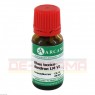 RHUS TOXICODENDRON LM 6 Dilution 10 ml | РУС ТОКСИКОДЕНДРОН раствор 10 мл | ARCANA DR. SEWERIN