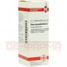 RHUS TOXICODENDRON C 12 Dilution 20 ml | РУС ТОКСИКОДЕНДРОН раствор 20 мл | DHU