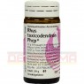 RHUS TOXICODENDRON PHCP Globuli 20 g | РУС ТОКСИКОДЕНДРОН глобули 20 г | PHÖNIX LABORATORIUM