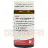 RHUS TOXICODENDRON E foliis D 30 Globuli 20 g | РУС ТОКСИКОДЕНДРОН глобули 20 г | WALA HEILMITTEL