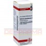 ROBINIA PSEUDACACIA D 6 Dilution 20 ml | РОБІНІЯ ПСЕВДОАКАЦІЯ розчин 20 мл | DHU