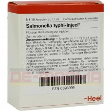 Сальмонела Тифі | Salmonella Typhi