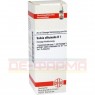 SALVIA OFFICINALIS D 1 Dilution 20 ml | САЛЬВИЯ ОФФИЦИНАЛИС раствор 20 мл | DHU