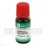 SAMBUCUS NIGRA LM 12 Dilution 10 ml | САМБУКУС НИГРА раствор 10 мл | ARCANA DR. SEWERIN