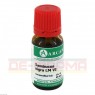 SAMBUCUS NIGRA LM 6 Dilution 10 ml | САМБУКУС НИГРА раствор 10 мл | ARCANA DR. SEWERIN