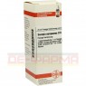 SCORPIO EUROPAEUS D 6 Dilution 20 ml | СКОРПІО ЄВРОПЕУС розчин 20 мл | DHU