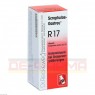 SCROPHULAE-Gastreu R17 Mischung 50 ml | СКРОФУЛЕ смесь 50 мл | DR.RECKEWEG