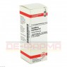 SCUTELLARIA LATERIFLORA D 6 Dilution 20 ml | СКУТЕЛЛЯРИЯ ЛАТЕРИФЛОРА раствор 20 мл | DHU