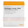 SOLIDAGO COMP.Heel Ampullen 10 St | СОЛІДАГО КОМП ампули 10 шт | BIOLOGISCHE HEILMITTEL HEEL