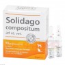 SOLIDAGO COMPOSITUM ad us.vet.Ampullen 10 St | СОЛИДАГО КОМПОЗИТУМ ампулы 10 шт | BIOLOGISCHE HEILMITTEL HEEL