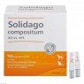 SOLIDAGO COMPOSITUM ad us.vet.Ampullen 100 St | СОЛІДАГО КОМПОЗИТУМ ампули 100 шт | BIOLOGISCHE HEILMITTEL HEEL