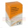 SOLIDAGO COMPOSITUM Cosmoplex Tabletten 250 St | СОЛІДАГО КОМПОЗИТУМ таблетки 250 шт | BIOLOGISCHE HEILMITTEL HEEL