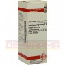 SOLIDAGO VIRGAUREA D 12 Dilution 20 ml | СОЛІДАГО ВІРГАУРА розчин 20 мл | DHU