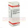 SPARTIUM SCOPARIUM D 4 Dilution 20 ml | СПАРТІУМ СКОПАРІУМ розчин 20 мл | DHU