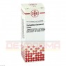 SPILANTHES oleracea Urtinktur D 1 20 ml | СПІЛАНТЕС розчин 20 мл | DHU